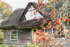 Casa típica antigua